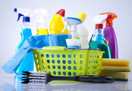 Local cleaner working in a South London SE17 property