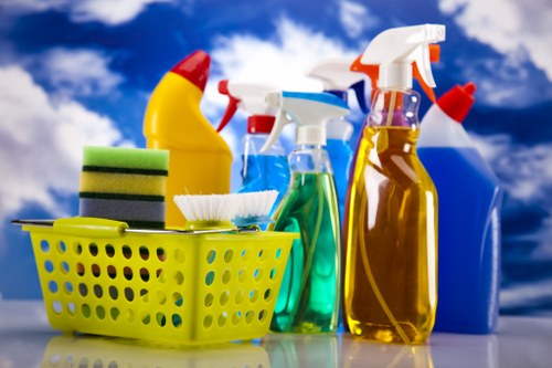 Professional oven cleaning service for homes in SE17