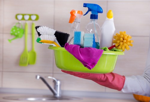 Cleaner working in a SE17 flat with local property access in mind