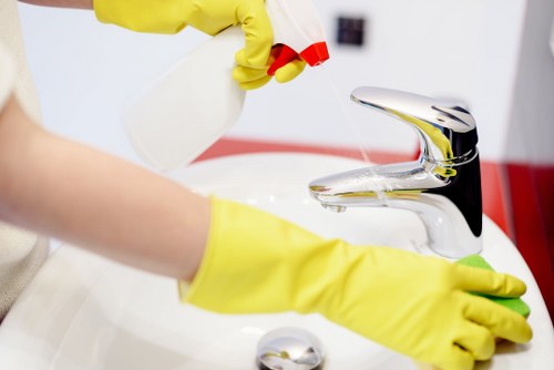 Professional carpet cleaner restoring fresh carpets in SE17