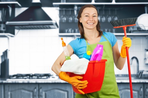 Oven cleaning equipment and polished cooker area in SE17