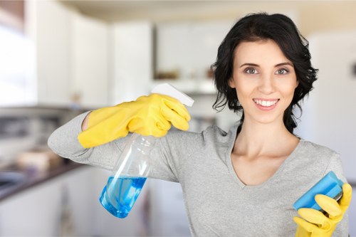 Kitchen appliance cleaning service for a flat in SE17