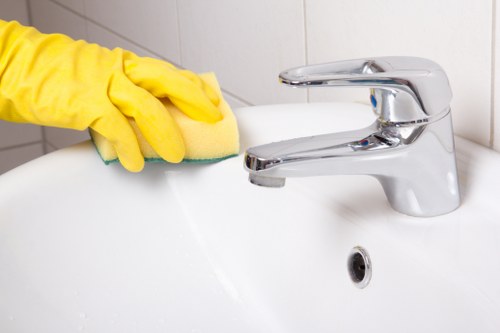 SSL encrypted online payment screen for carpet cleaning