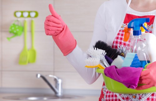 Regular domestic cleaning in SE17 residential properties