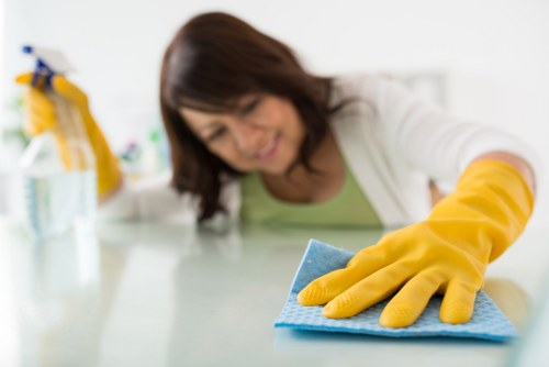 Regular domestic cleaning for apartments and family homes in SE17