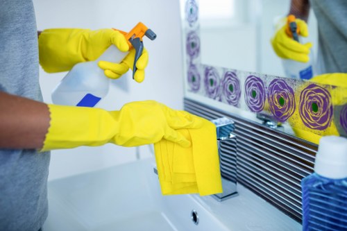 Regular domestic cleaning visit in a Southwark area home