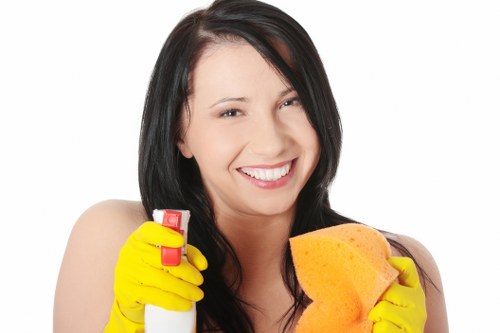 Accessibility request support for Carpetcleaning SE17 information